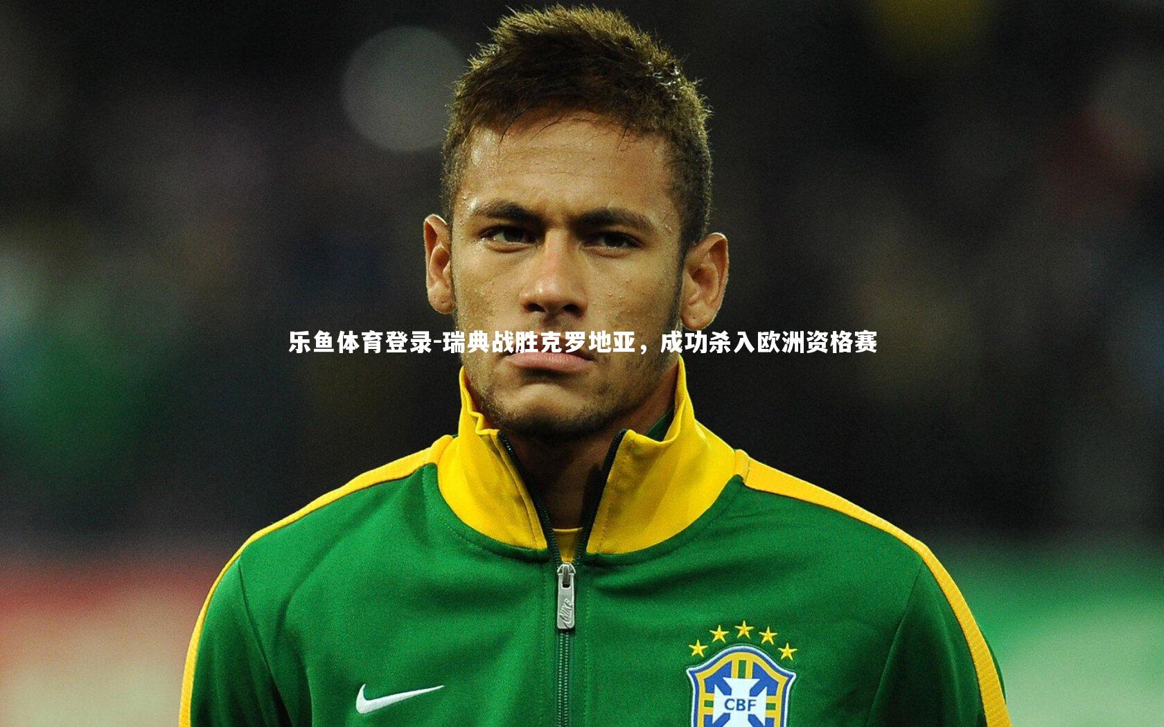 乐鱼体育登录-瑞典战胜克罗地亚，成功杀入欧洲资格赛