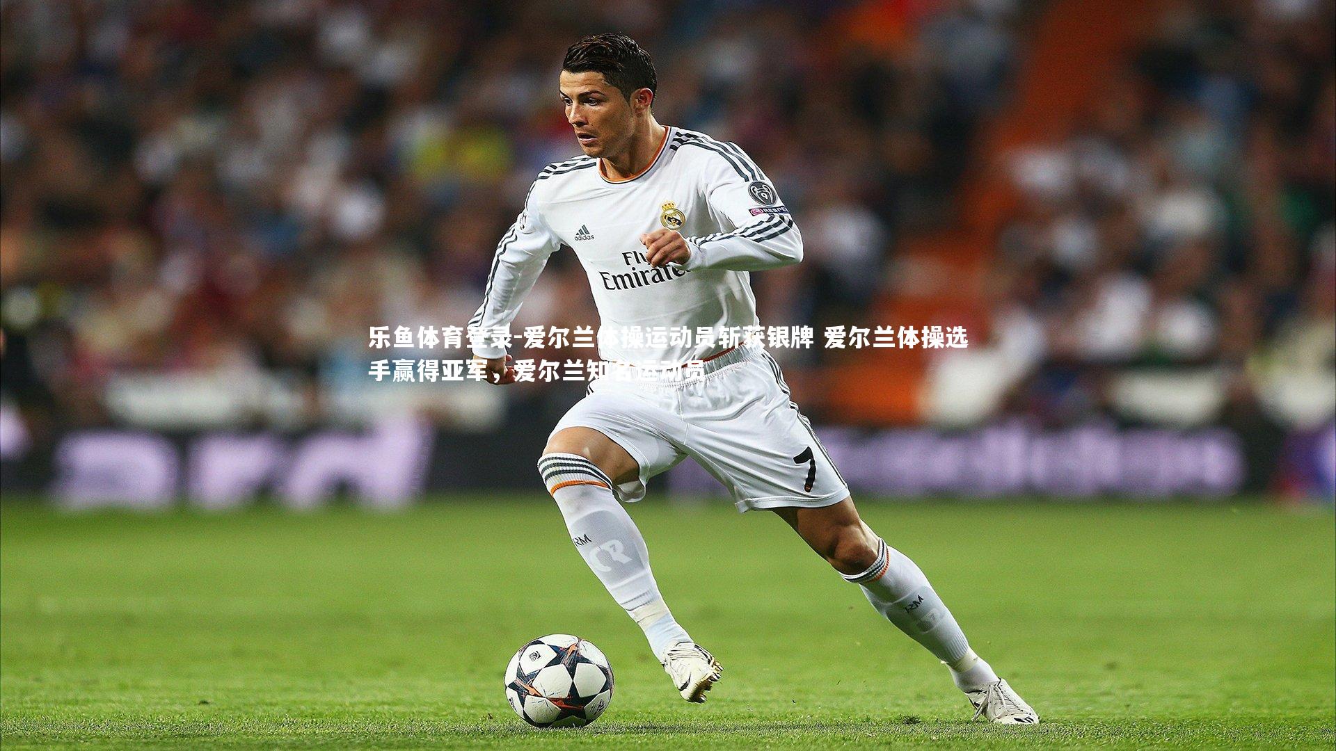 乐鱼体育登录-爱尔兰体操运动员斩获银牌 爱尔兰体操选手赢得亚军,爱尔兰知名运动员