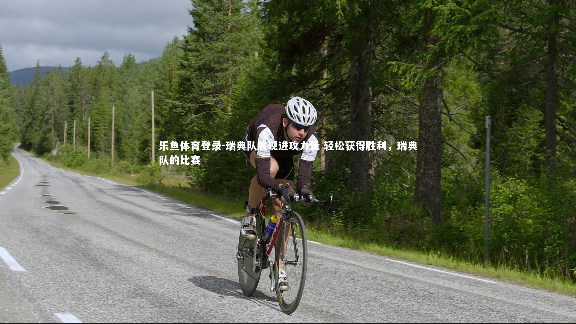 瑞典队展现进攻力量 轻松获得胜利,瑞典队的比赛