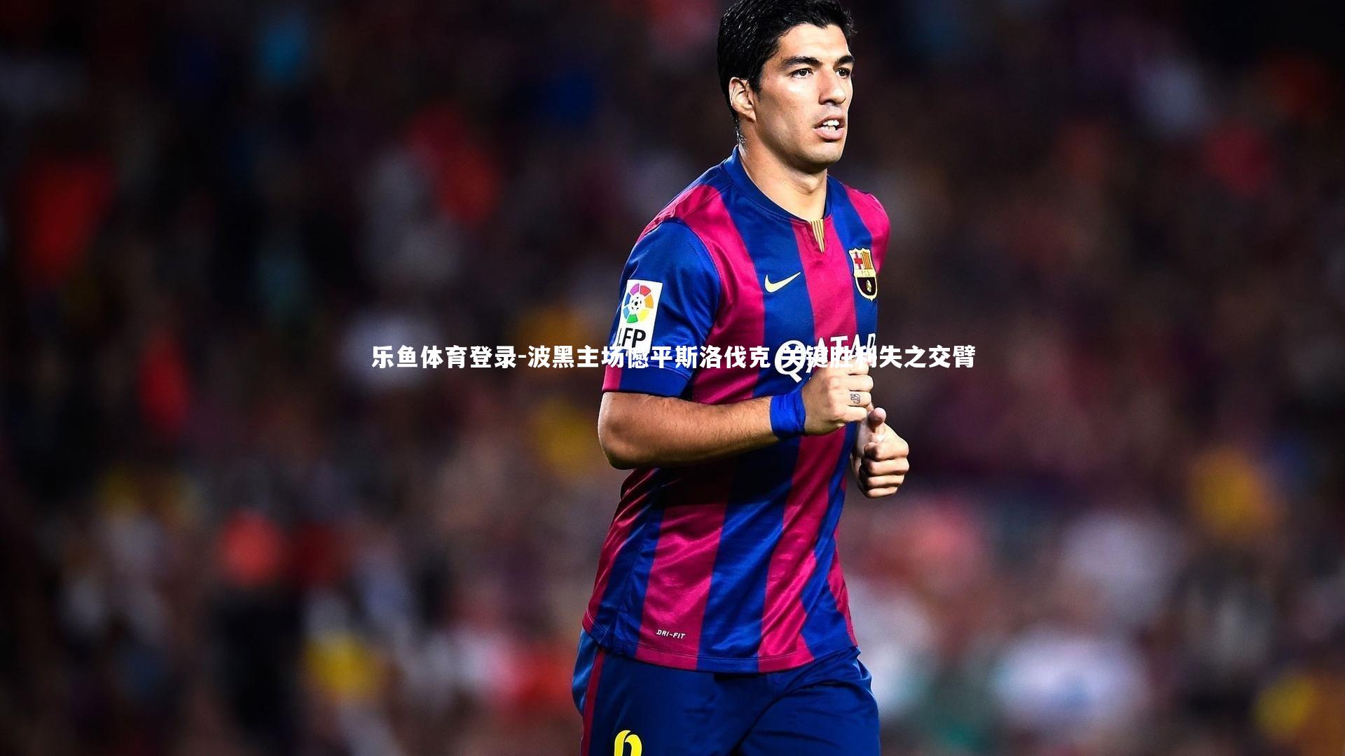 波黑主场憾平斯洛伐克 关键胜利失之交臂